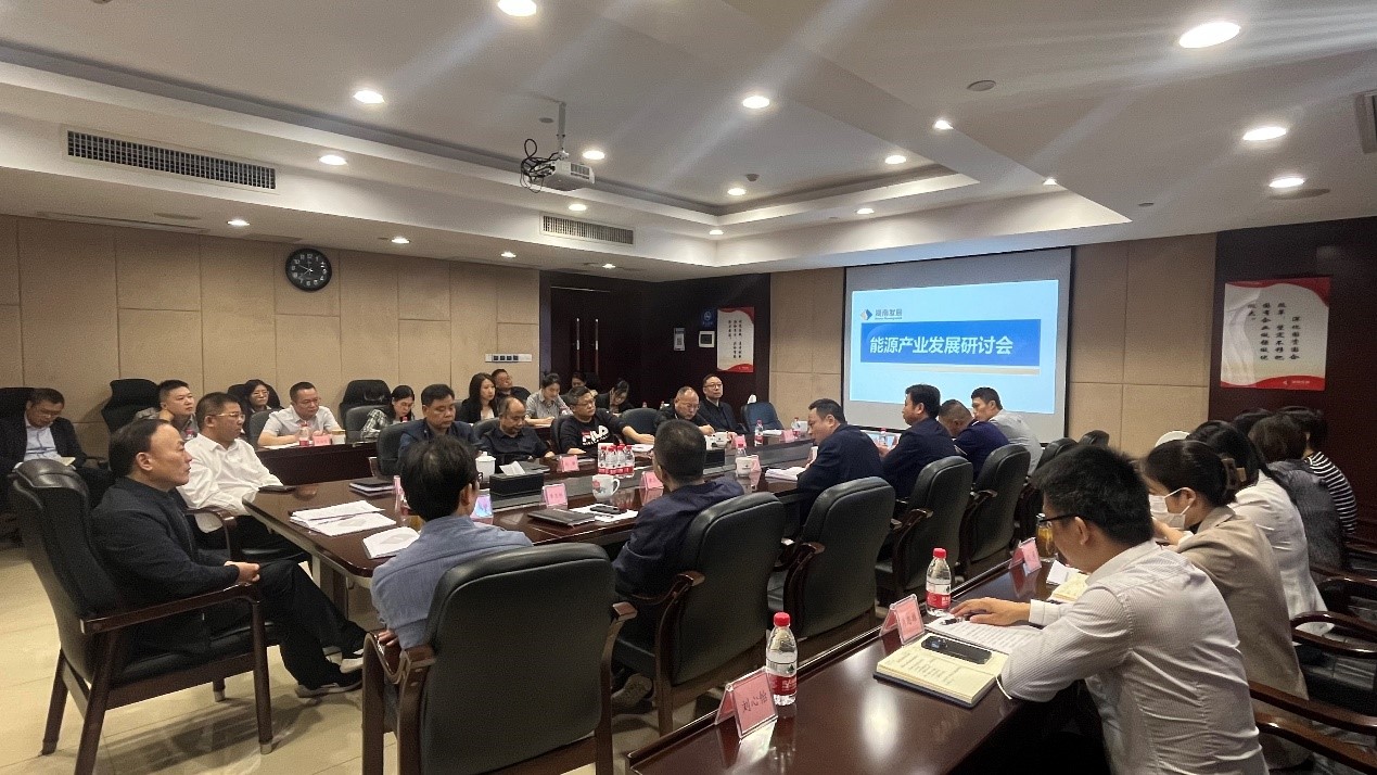 乐动·官方站官网-乐动(中国)召开能源产业发展研讨会