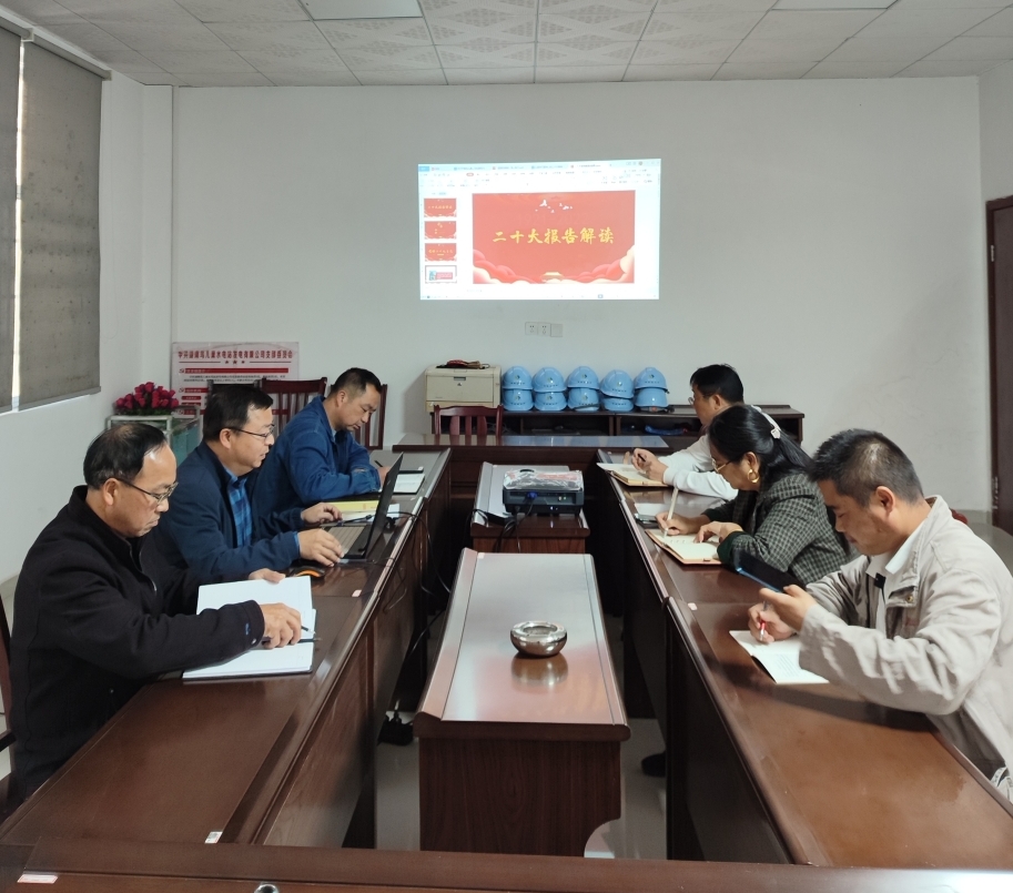 鸟儿巢乐动·官方站官网-乐动(中国)
党支部开展“一课一片一实践”主题党日活动